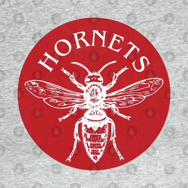 Defunct Pittsburgh Hornets Hockey 1956 by LocalZonly